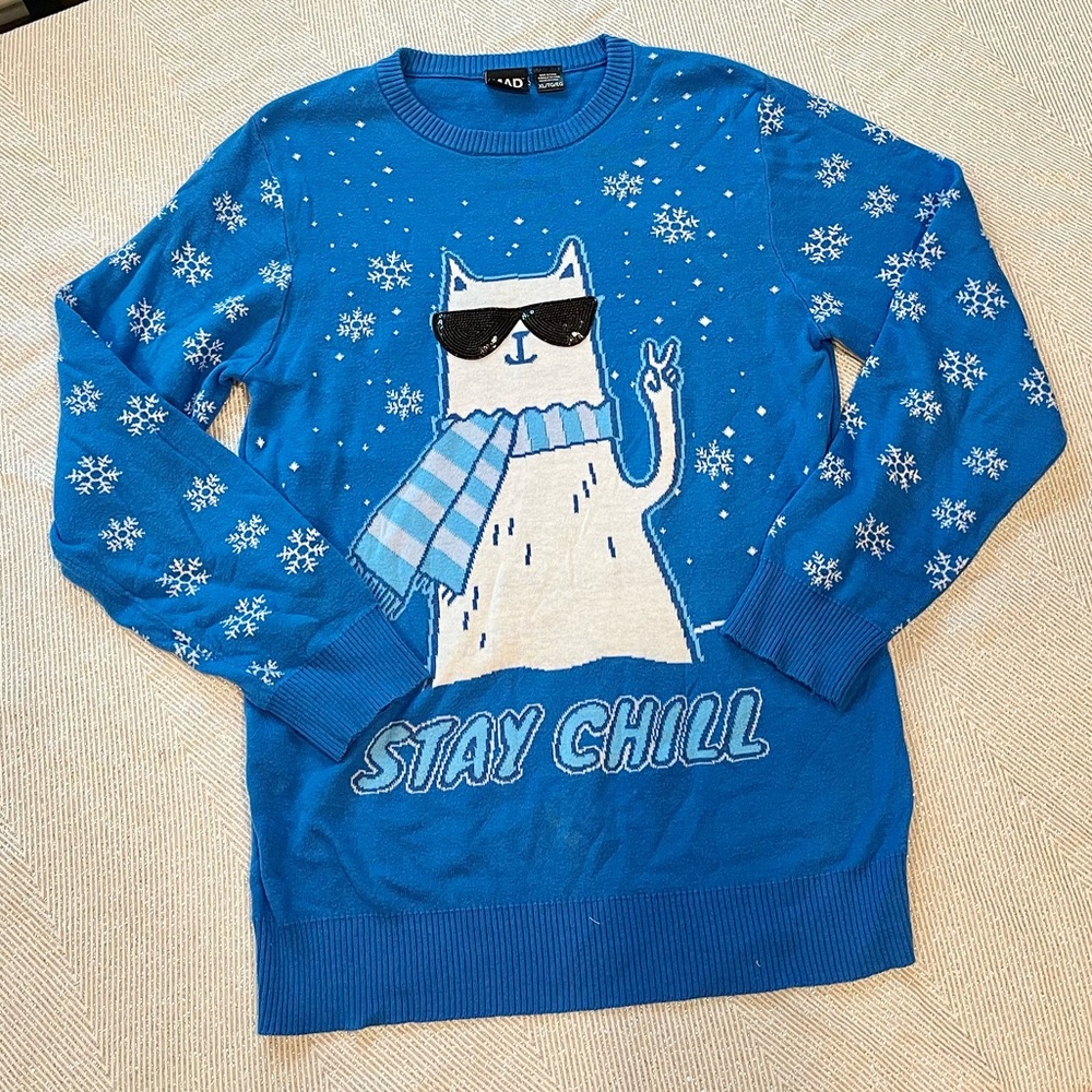 Ugly Christmas Sweater Blue Knit Cat Stay Chill Sweater Boy’s Size XL